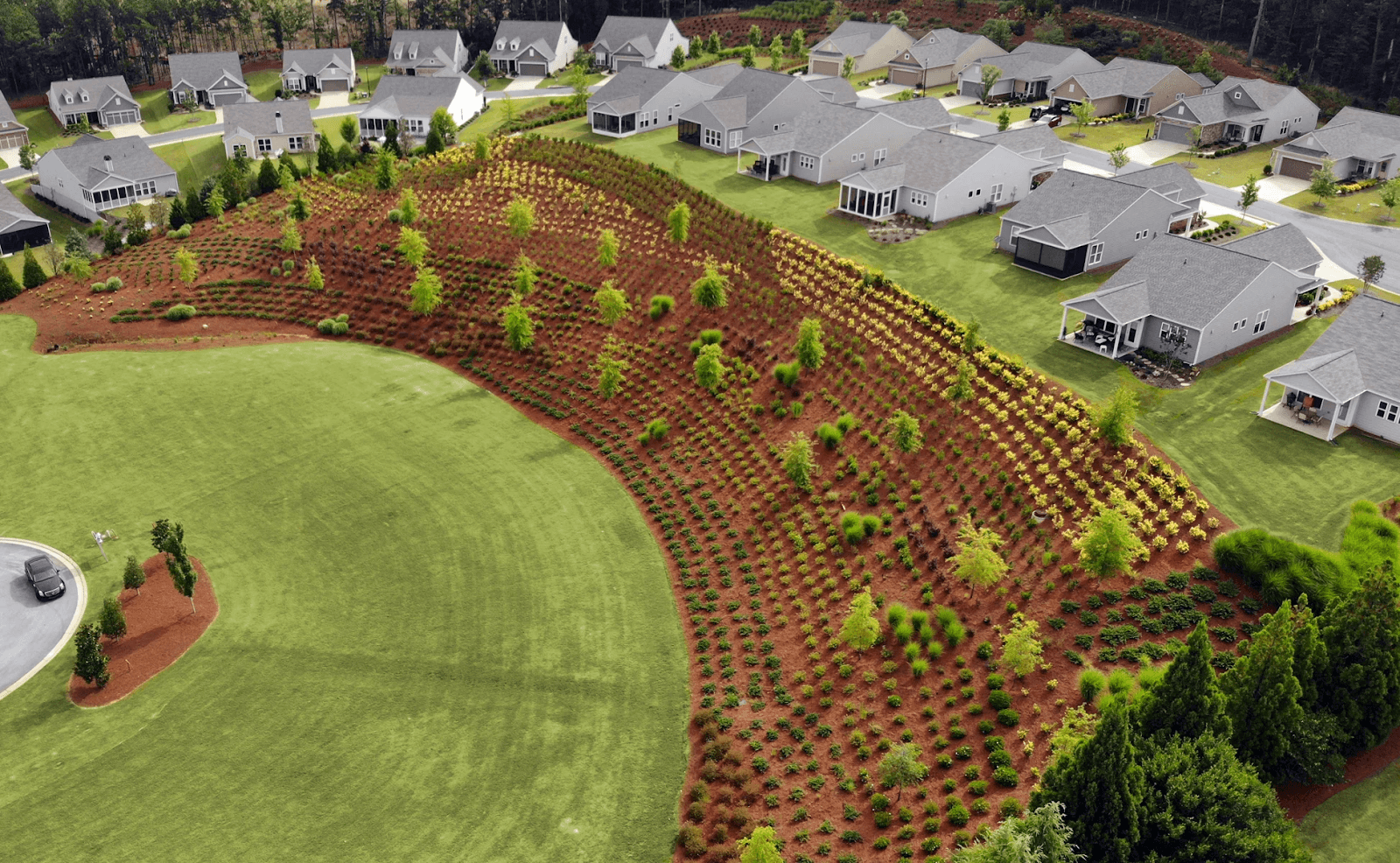 HOA Landscaping: What Boards Should Know